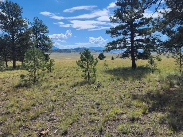 617 Boulder Road, Hartsel, CO 80449