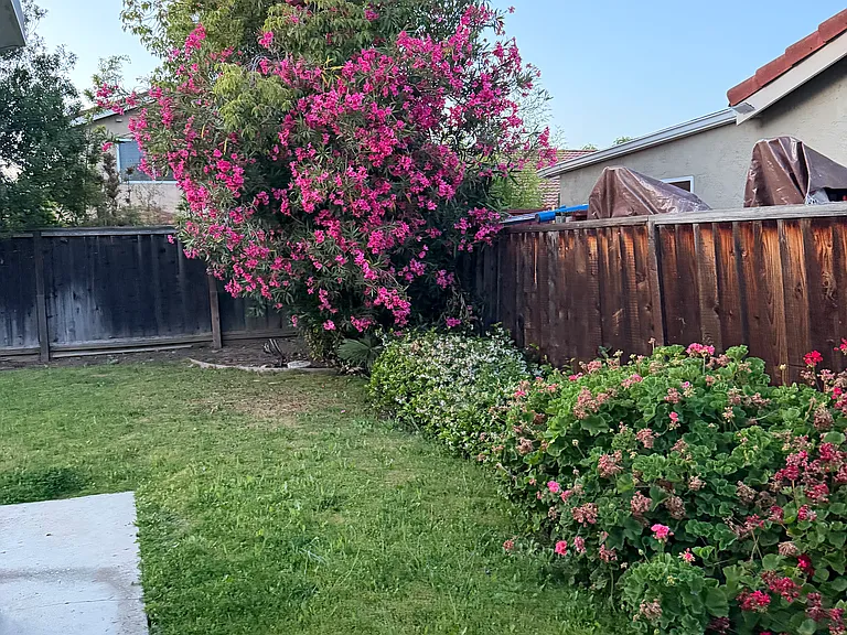 3277 Fallen Oak Ct — Photo 27
