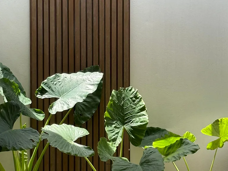 1 Calle N21 #N21 — Photo 7