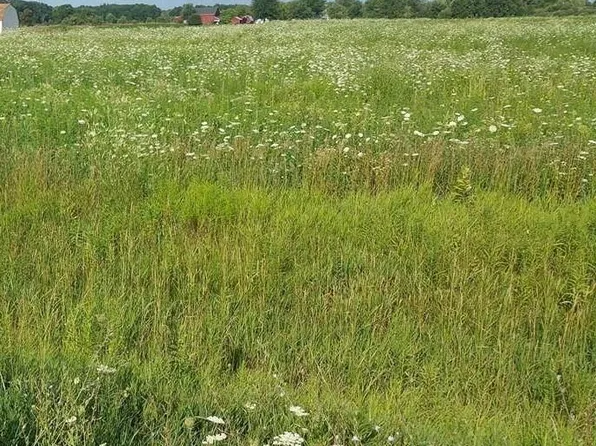 0 Capac Rd, Capac, MI 48014