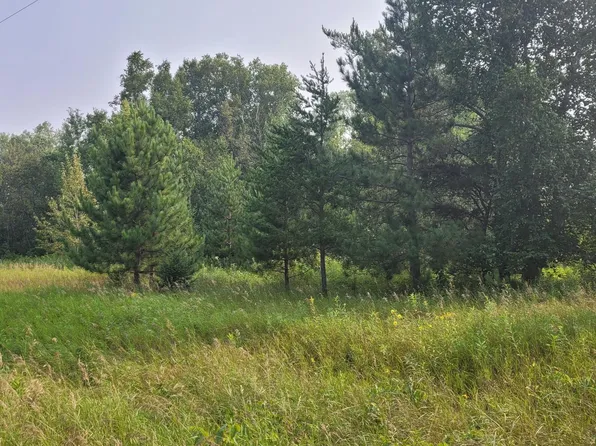 16th St SW, Backus, MN 56435