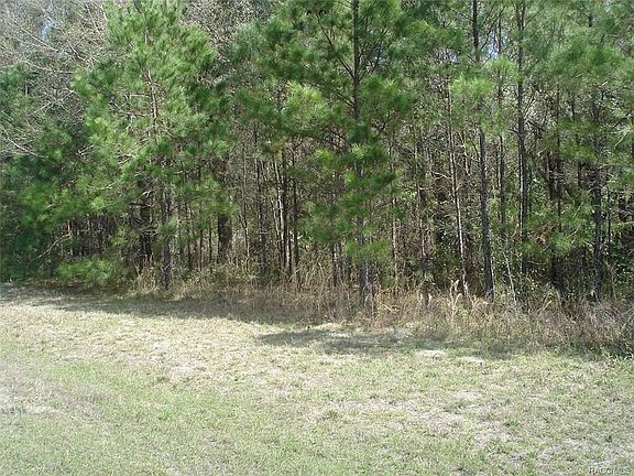 4th image of 602 E Citrus Springs Blvd