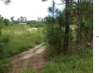 340 Trail Blazer Dr, Lake Helen, FL 32744