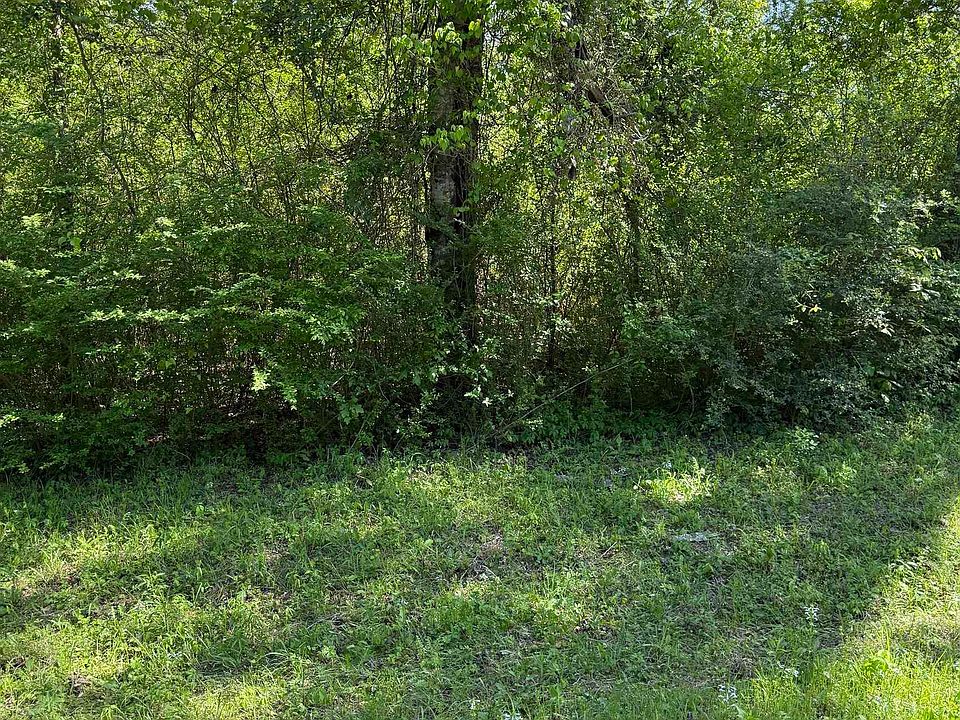 2nd image of LOT 6 Fm 839 S