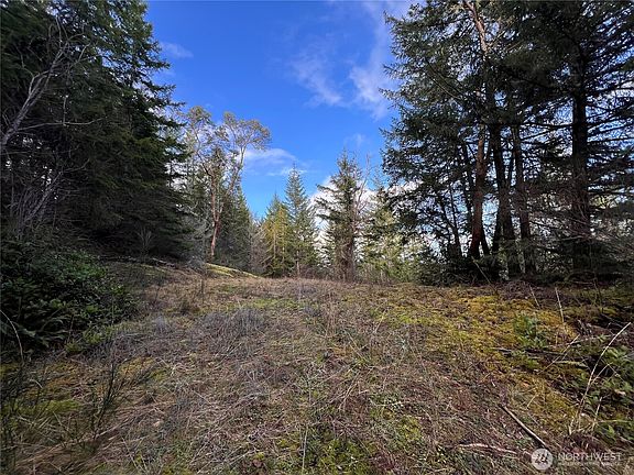 5th image of 59 X Moose Mountain Road