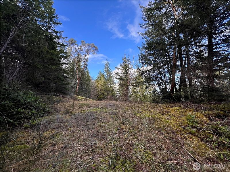 5th image of 59 X Moose Mountain Road
