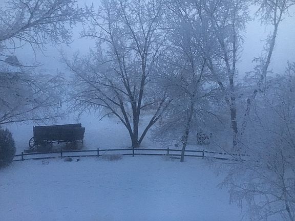 Jack Frost painted the yard