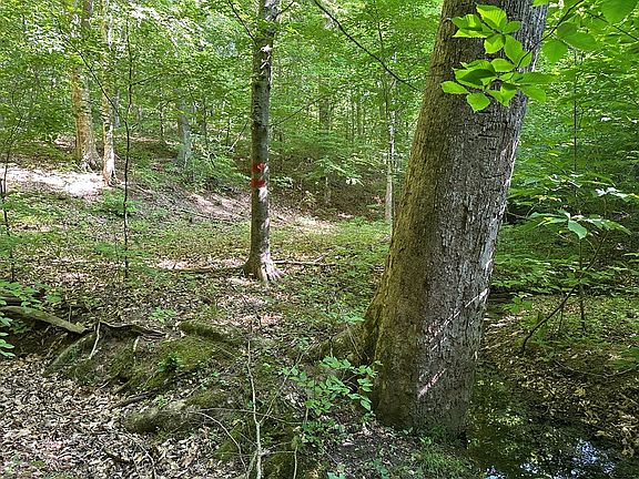 2nd image of LOT 31 33 Monacarn Ct