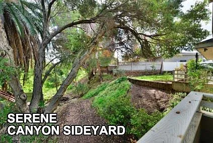 Canyon side yard