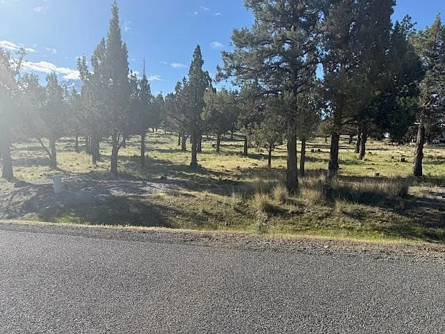 Unit Lake Shastina Lake Shastina Dr Lot 25-1 photo 1