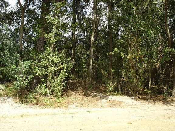 3rd image of 5245 Abbott Cir