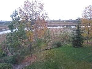 Private Yard with Pond