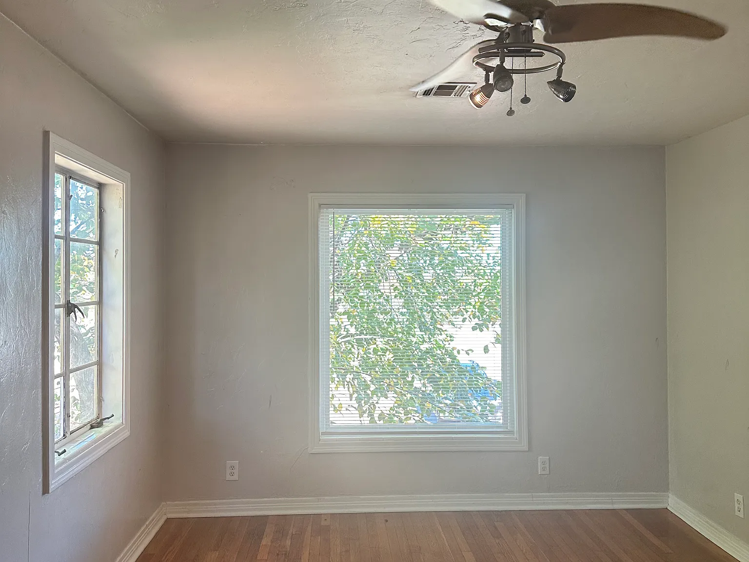 1 bed, 700 sqft, $1,000 — Photo 2