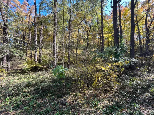 0 26th St, Lawton, MI 49065