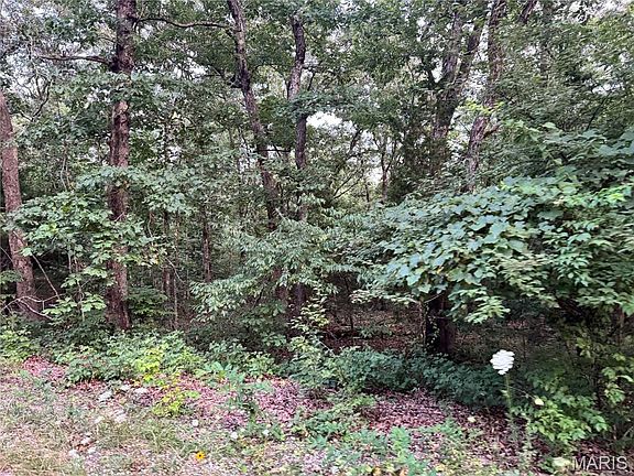 5th image of 556 Waterford Rd