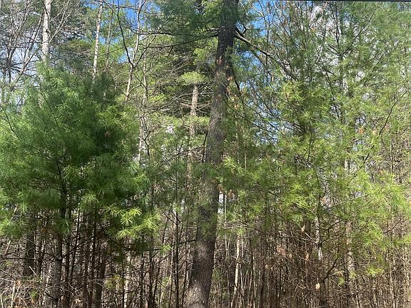 5th image of 0 Blue Ridge Ln Lot 21
