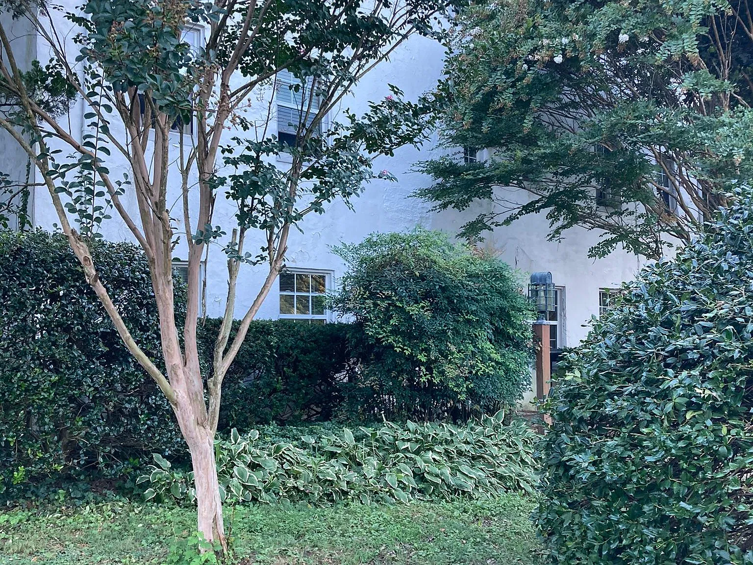 1 bed, $1,225 — Photo 2
