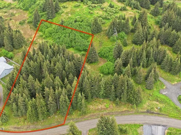 1185 Quinalt Ave, Homer, AK 99603