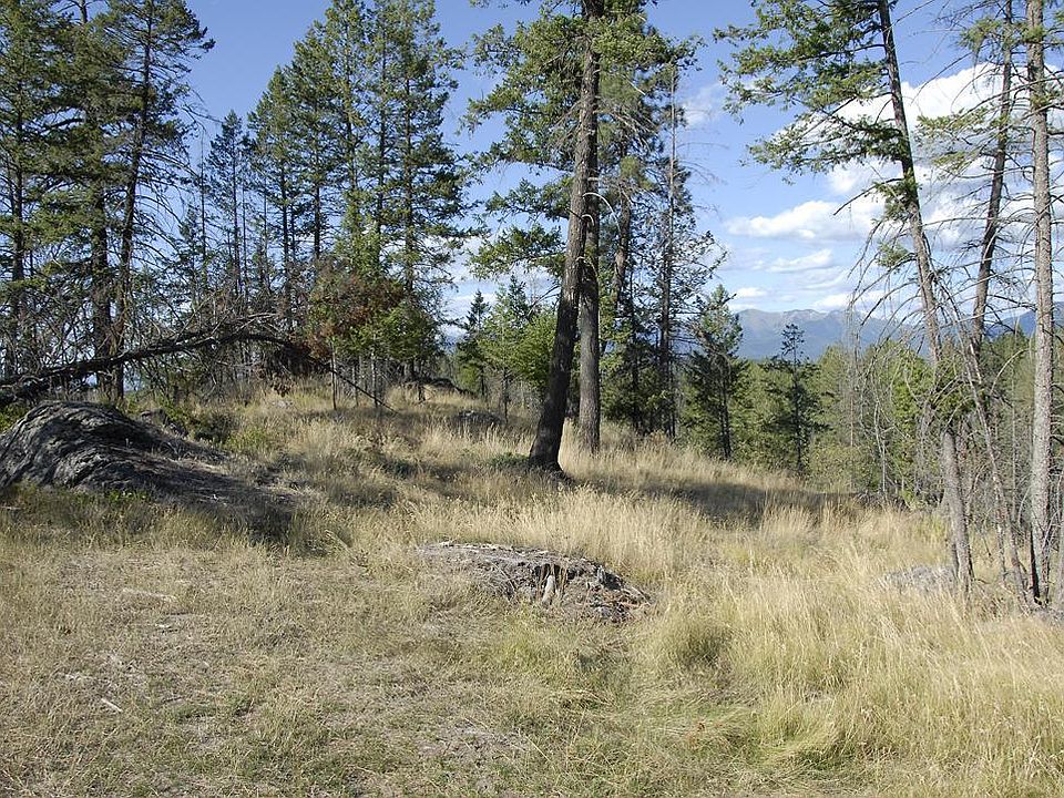1st image of 200 Bear Hollow Dr