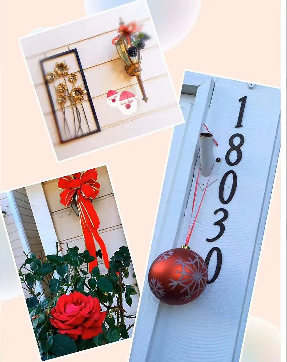Cocklebur Pl, Rowland Heights — Photo 4