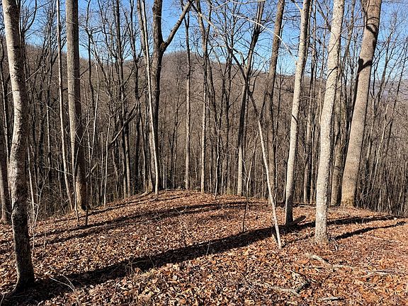 5th image of 0 Posey Blanton Rd