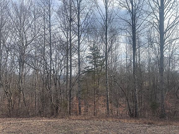 5th image of 3&5 Lakeside Trl