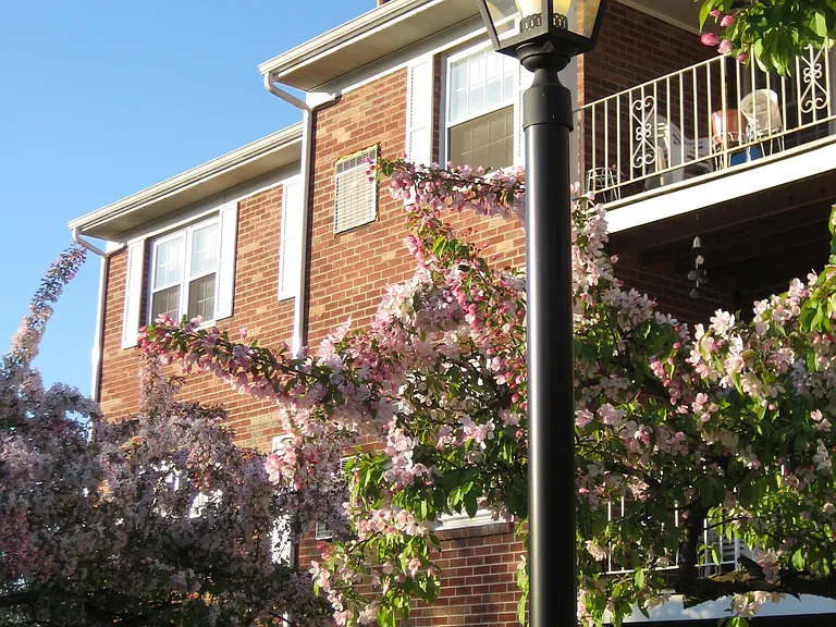Park Hill Lane Apartments — Photo 8
