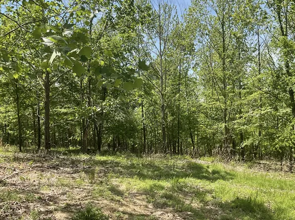 98 Saddleback Dr, Dover, TN 37058
