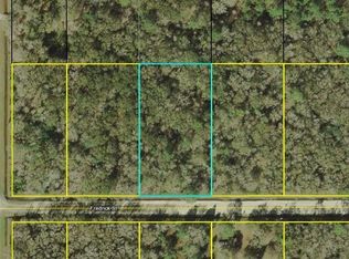 4770 Fredrick St, Hastings, FL 32145