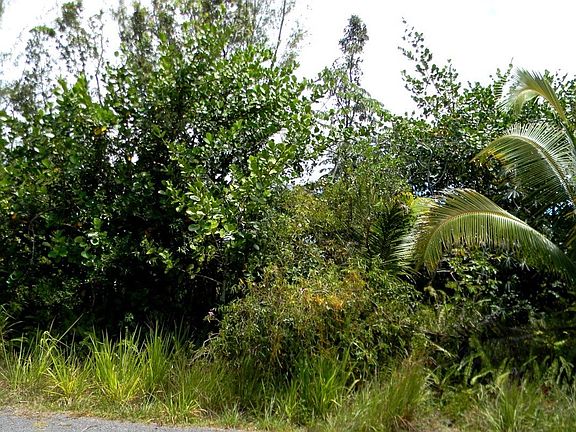 4th image of 1st Ave Lot 2884