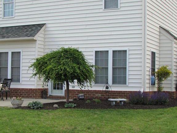 5th image of 2182 River Oaks Dr