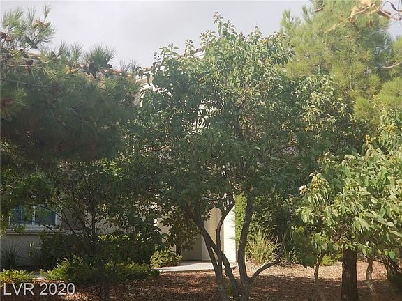 2nd image of 10566 Firebush Dr