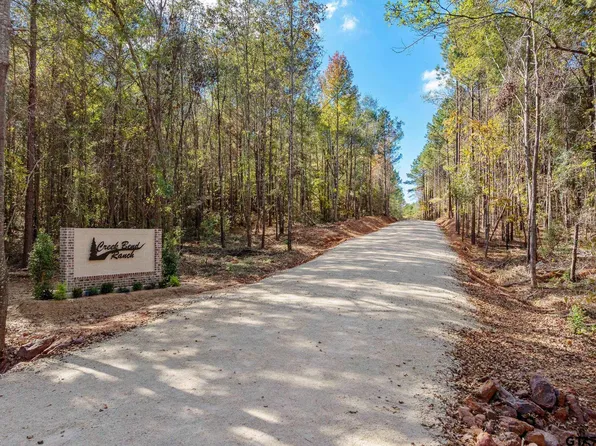 1 Creek Bend Trl, Troup, TX 75789
