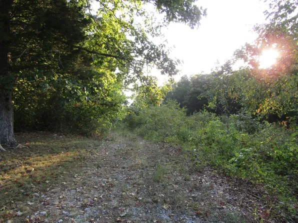 Lancaster St, Harrogate, TN 37752