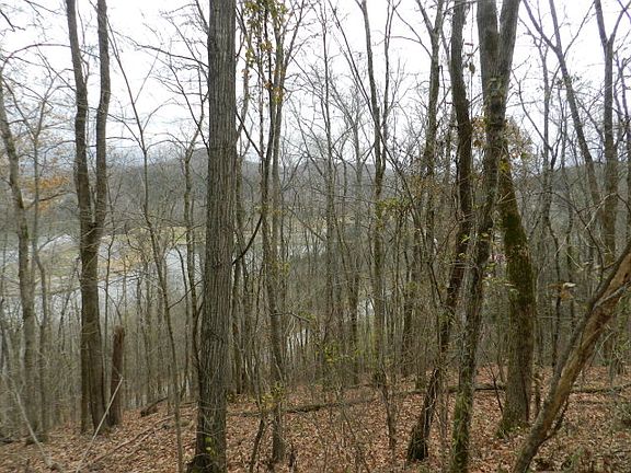 3rd image of Dodson Branch Hwy