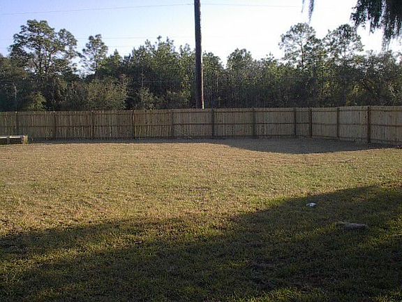 back yard