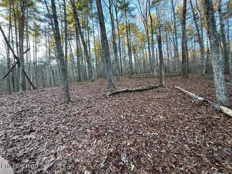 2nd image of Overlook View Rd