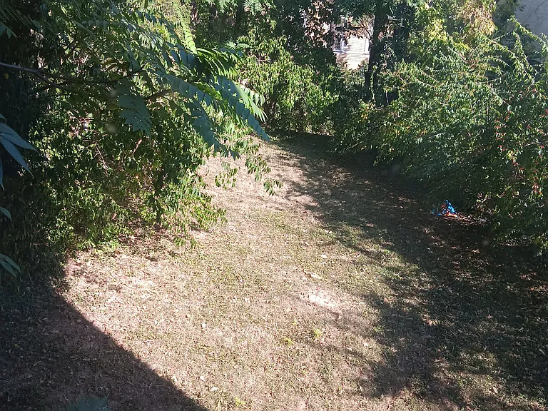 2214 Auburn Ave #2 — Photo 21