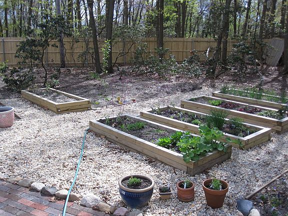 organic garden