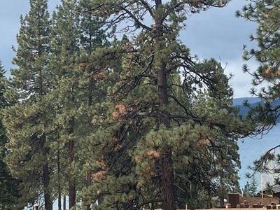 9005 N Lake Blvd, Kings Beach, CA, 96143