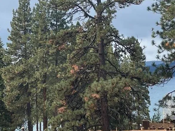 9005 N Lake Blvd, Kings Beach, CA 96143