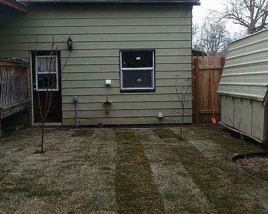 Back yard & Shed