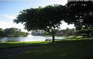 View of Lake in Rear