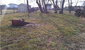 Yard
