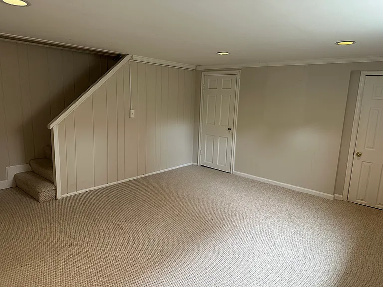 Basement/Flexible Bedroom