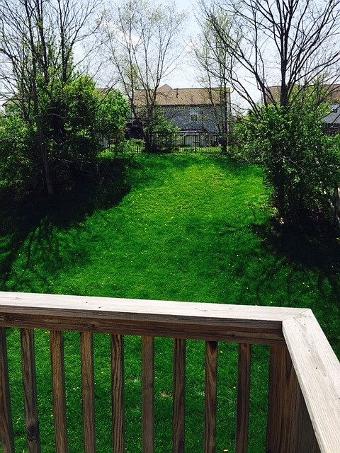 2nd image of 1042 Wermeling Ln