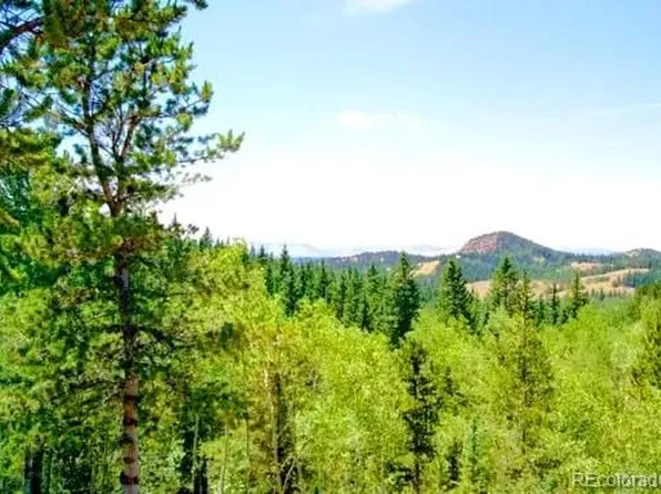 111 CO 67, Cripple Creek, CO 80813