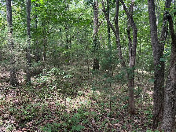 4th image of LOT 9 Red Bud Dr