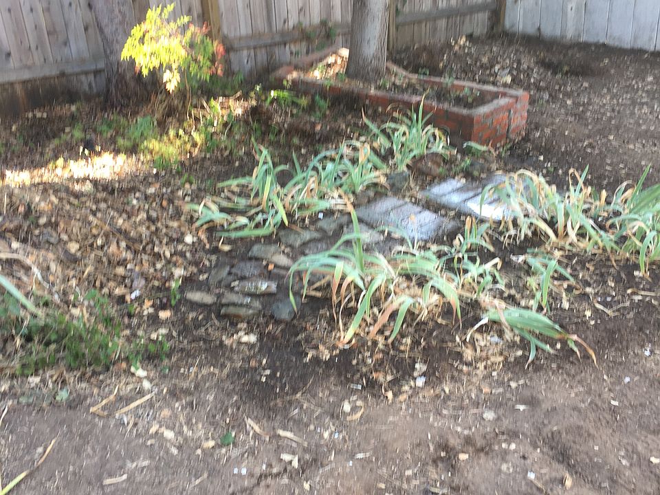 1st image of 537 Hathway Ave