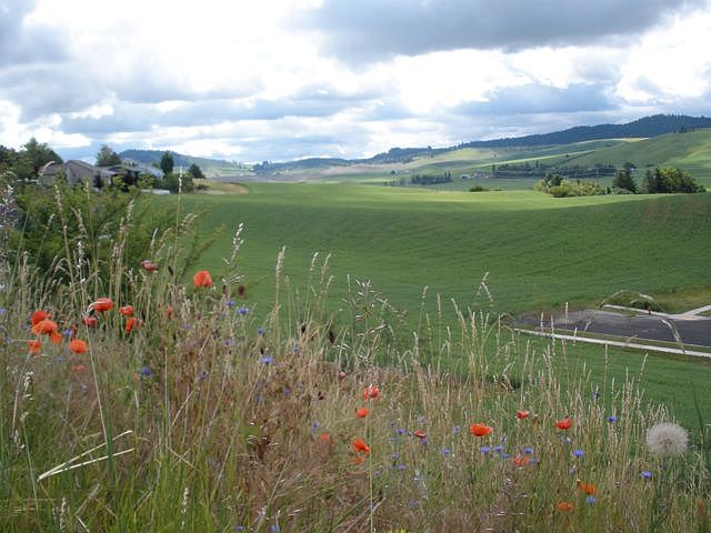2nd image of Lot 4 Indian Hills Dr.